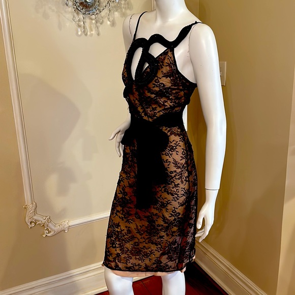 GUCCI SNAKE BLACK EMBROIDERY Silk Lined CHANTILLY LACE DRESS SIZE 42 IT - Picture 3 of 11